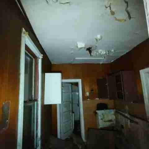 8031 conger (86).jpg